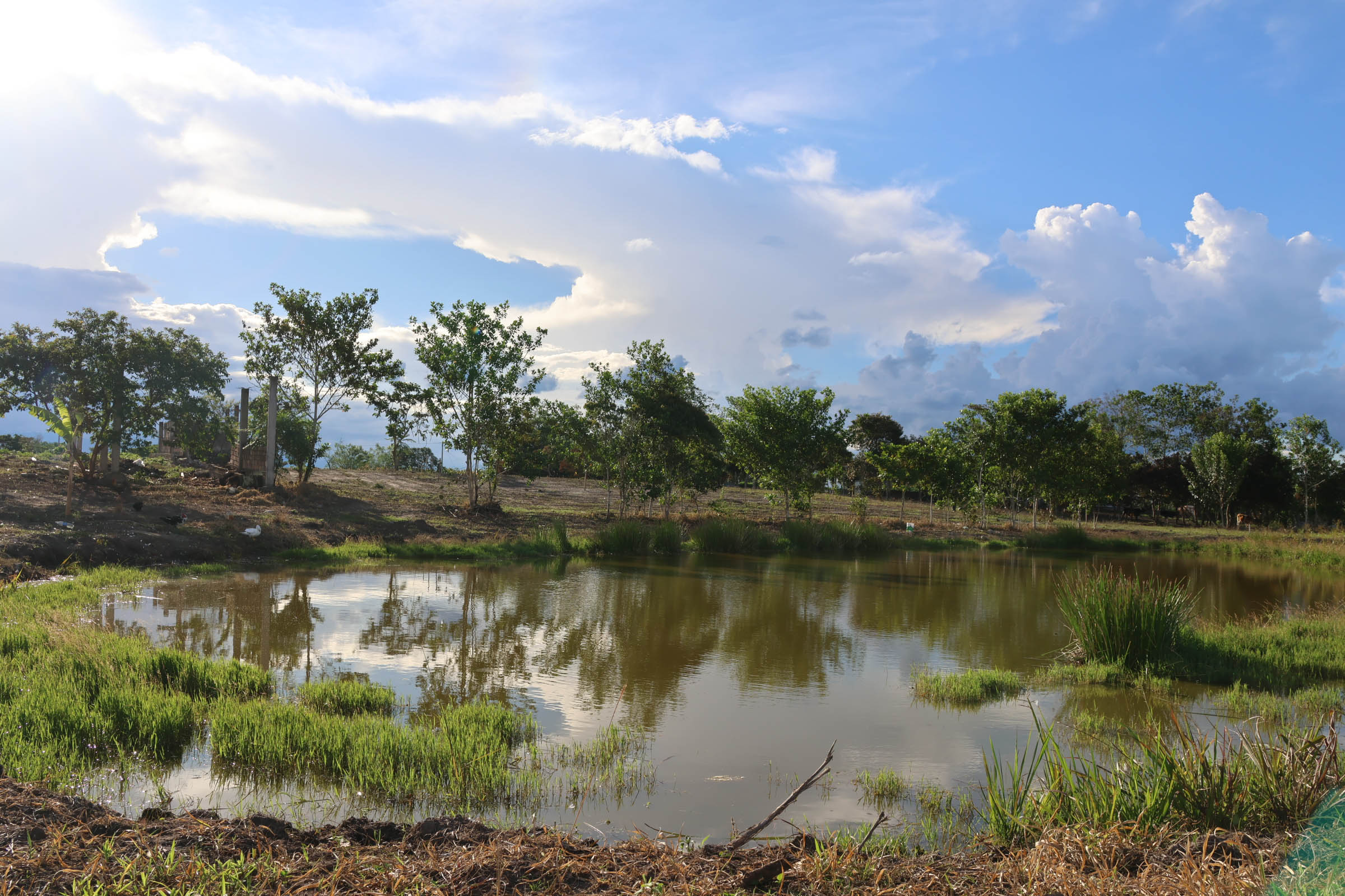 OASIS DEL MAYO Mz. B Lt. 05