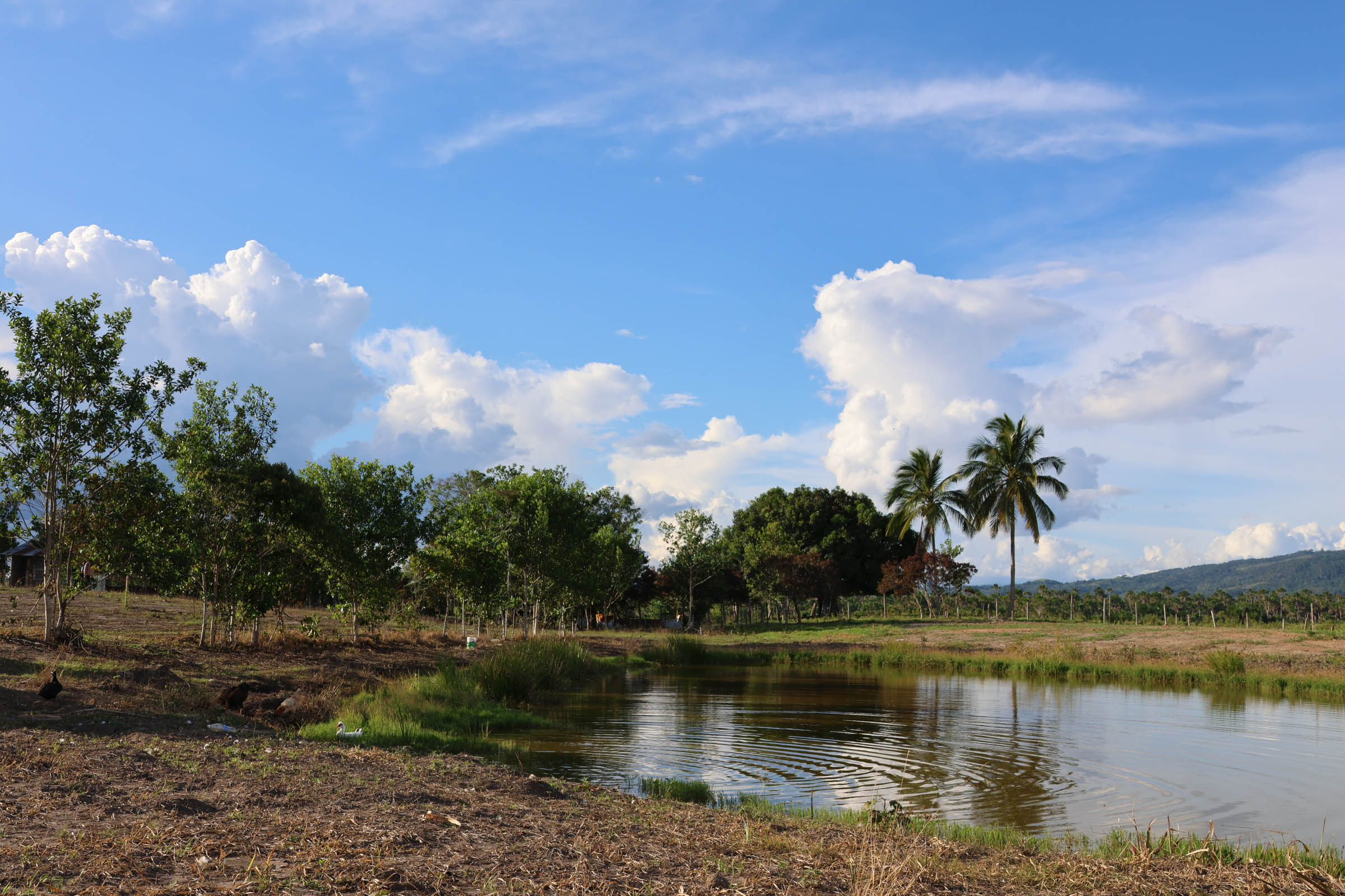 OASIS DEL MAYO Mz. F Lt. 02