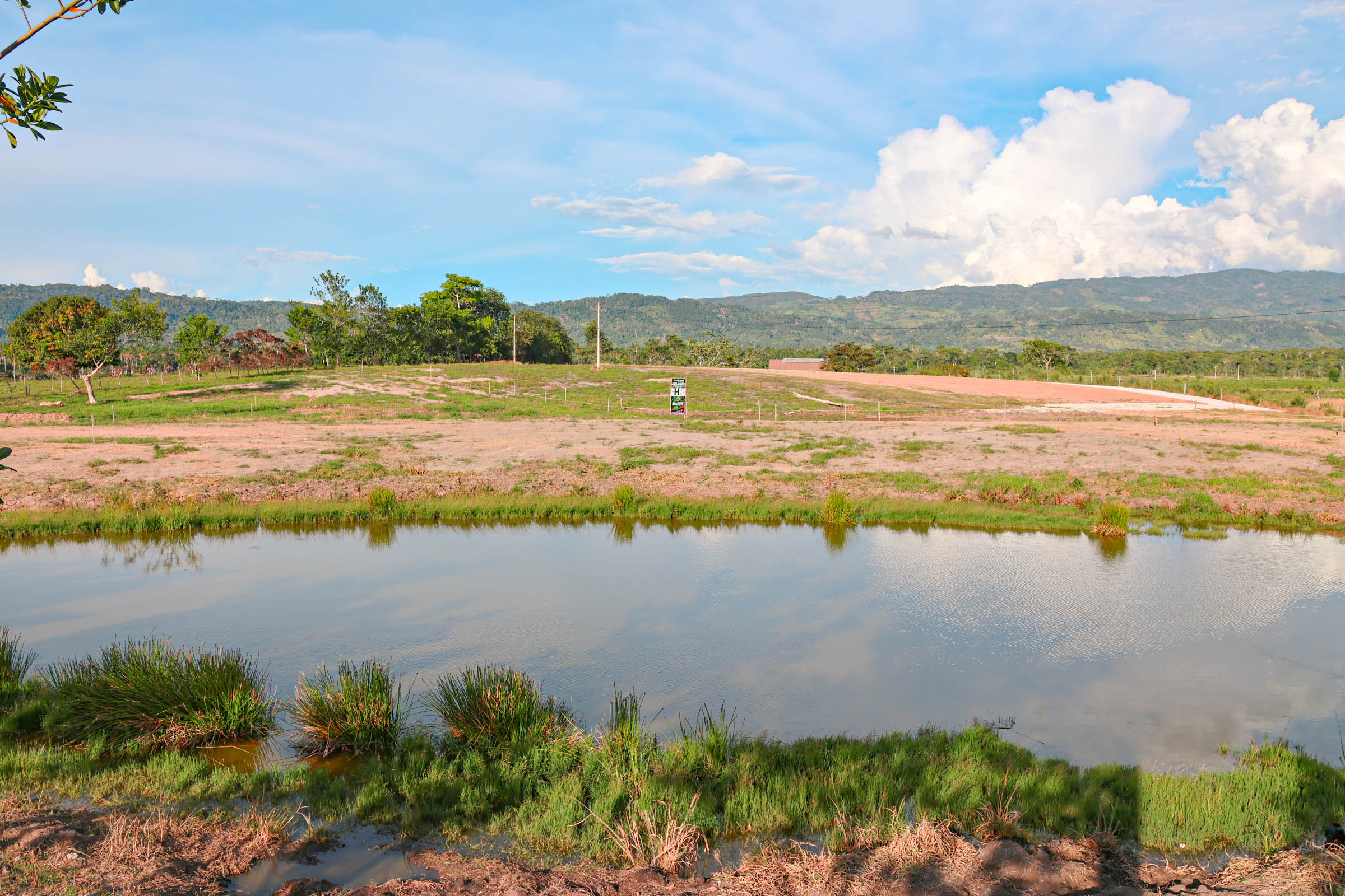OASIS DEL MAYO