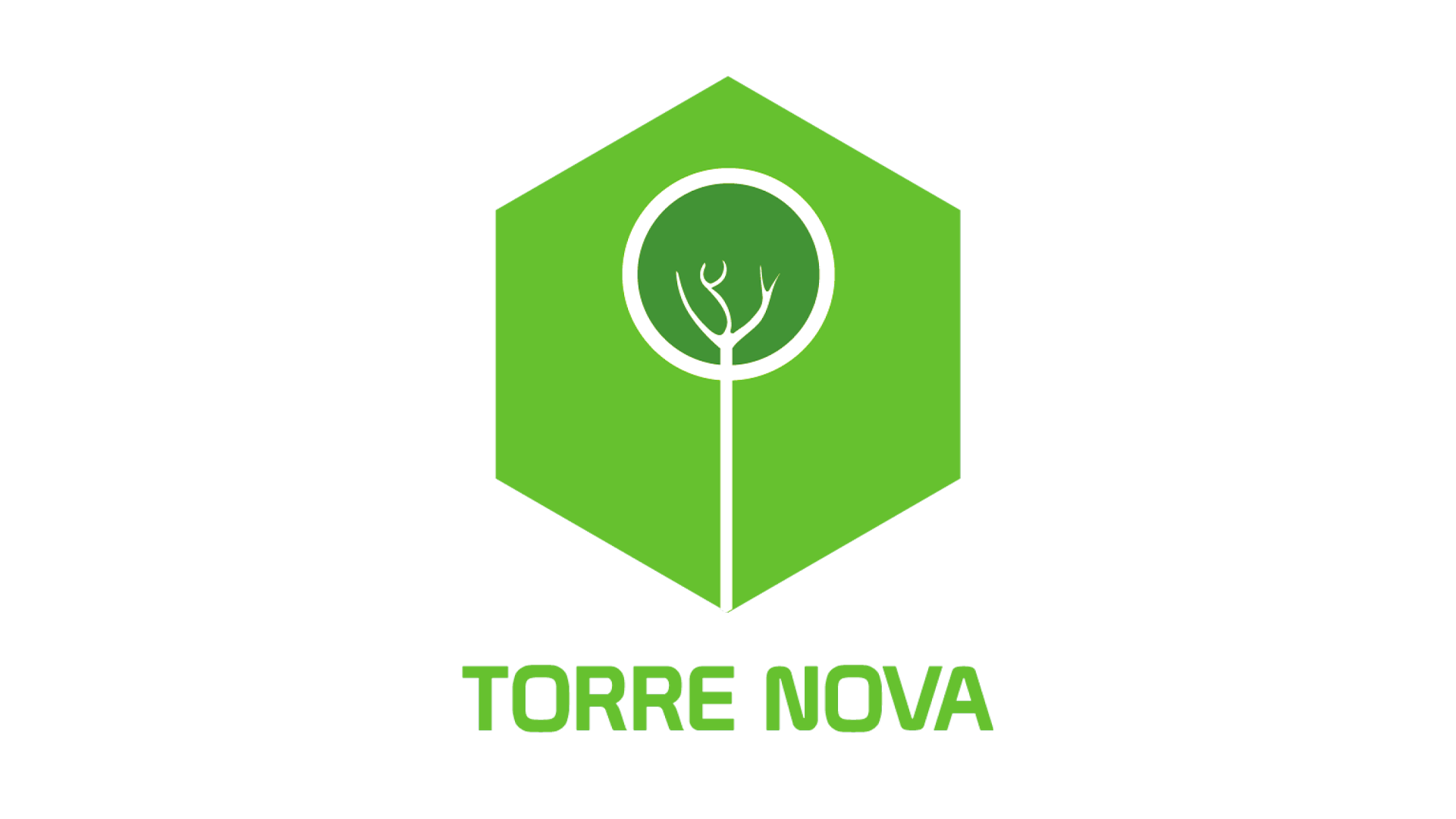 Logo TORRE NOVA
